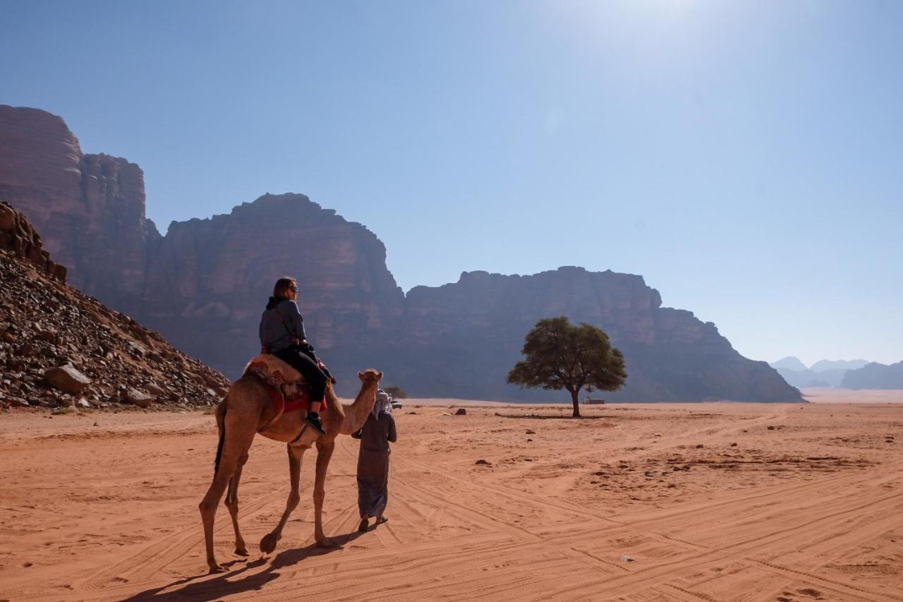 Wadi Rum Bedouin Camp And Desert Tours Dış mekan fotoğraf