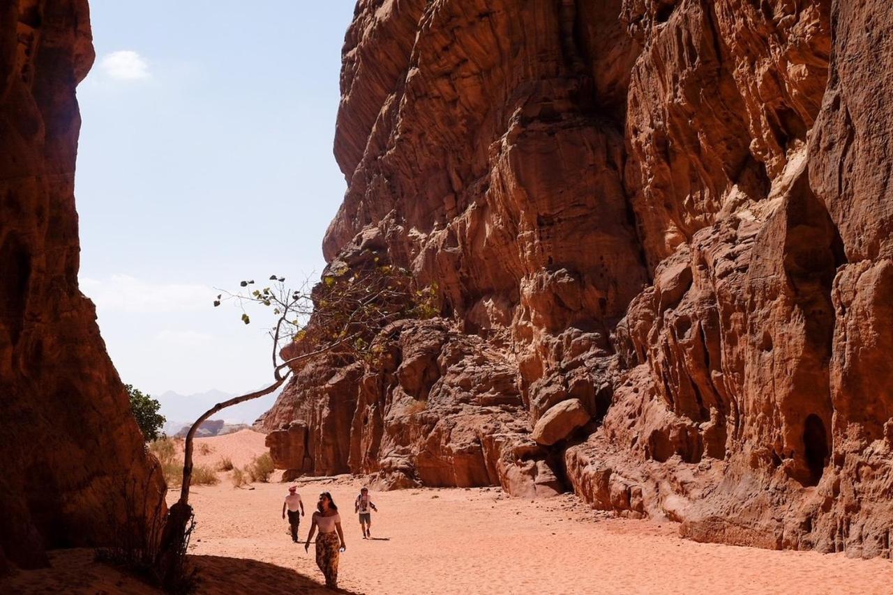 Wadi Rum Bedouin Camp And Desert Tours Dış mekan fotoğraf