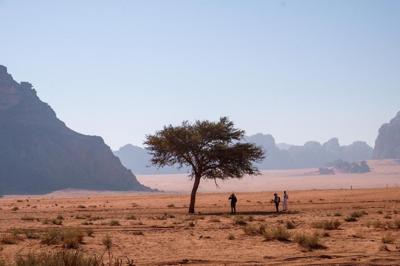 Wadi Rum Bedouin Camp And Desert Tours Dış mekan fotoğraf